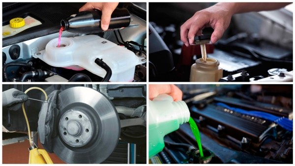 Когда нужно менять технические жидкости в автомобиле Когда нужно менять технические жидкости в автомобиле