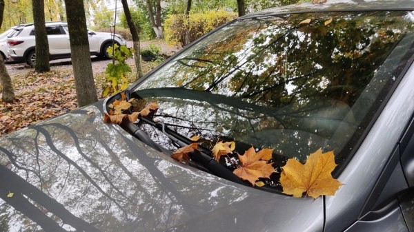 Автоэксперт рассказал, как нельзя сбивать лед со стекла авто