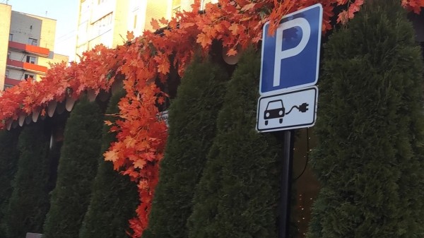 Электромобили будут составлять до 15% авторынка РФ к 2030 году