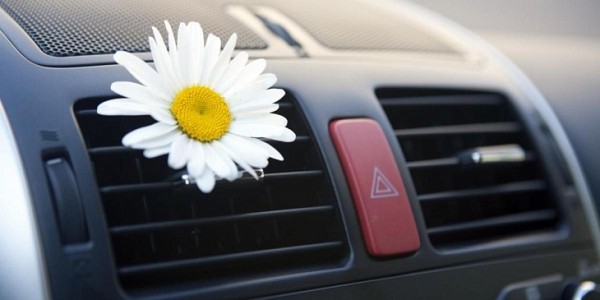 Автоэксперт сообщил, что замена турбины двигателя в РФ обойдется примерно в 300 тыс. рублей Автоэксперт сообщил, что замена турбины двигателя в РФ обойдется примерно в 300 тыс. рублей