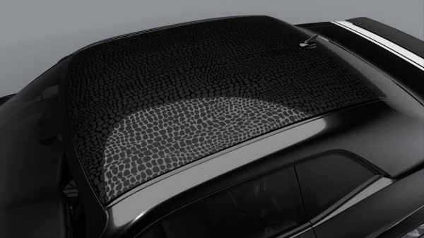 У коллекционеров появилась возможность приобрести самый первый Dodge Challenger Black Ghost 2023 года У коллекционеров появилась возможность приобрести самый первый Dodge Challenger Black Ghost 2023 года