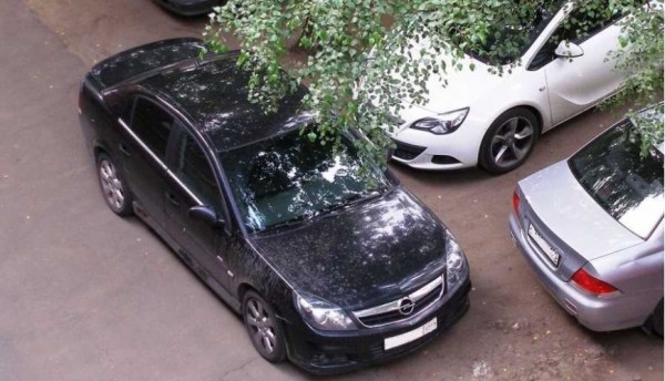 Автопортал NJcar рассказал, как наказать заблокировавшего вас водителя автомашины на парковке Автопортал NJcar рассказал, как наказать заблокировавшего вас водителя автомашины на парковке