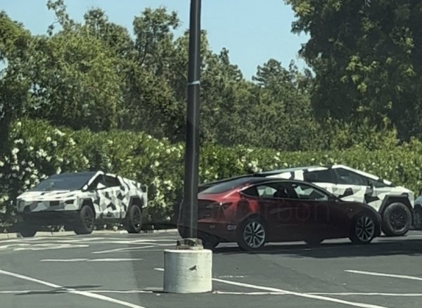 Несколько пикапов Tesla Cybertruck были замечены с камуфляжем и без него