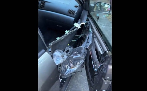 Медведь сеет хаос внутри Toyota Corolla женщины, запершись внутри