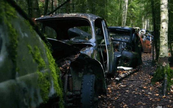 В Швеции найдено самое большое кладбище автомашин в Европе В Швеции найдено самое большое кладбище автомашин в Европе