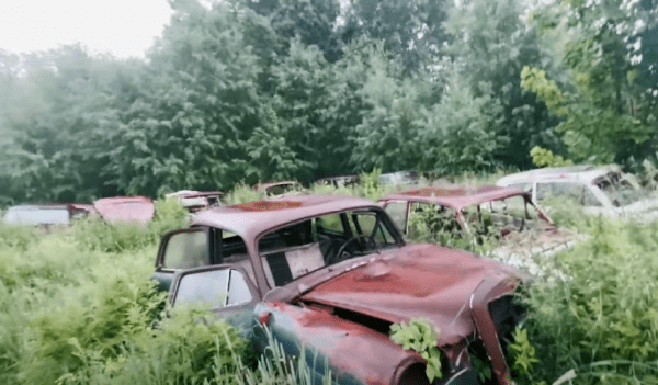 В Швеции найдено самое большое кладбище автомашин в Европе В Швеции найдено самое большое кладбище автомашин в Европе