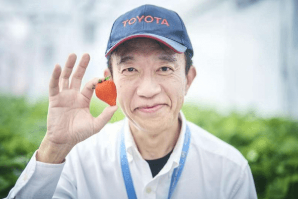 Зачем Toyota выращивает клубнику и помидоры на автомобильных заводах