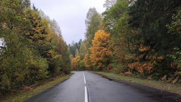 Эти советы помогут водителям безопасно передвигаться по осенним дорогам