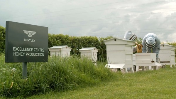 Если верить Bentley, то она создала самый сладкий мед в истории