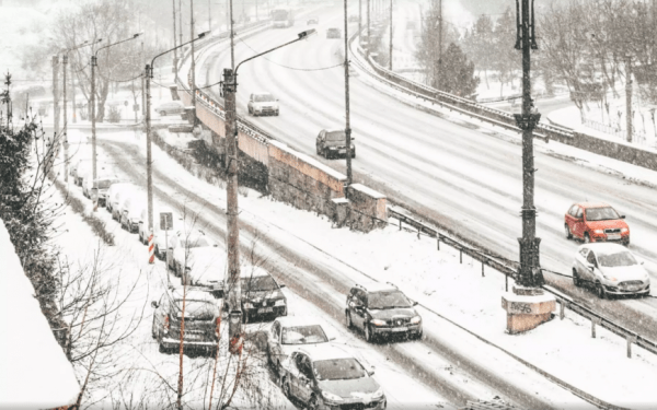 Теперь получившие гражданство РФ не смогут управлять автомобилем в России Теперь получившие гражданство РФ не смогут управлять автомобилем в России