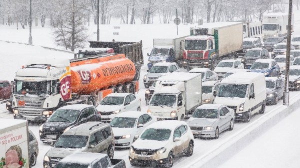 Теперь получившие гражданство РФ не смогут управлять автомобилем в России Теперь получившие гражданство РФ не смогут управлять автомобилем в России