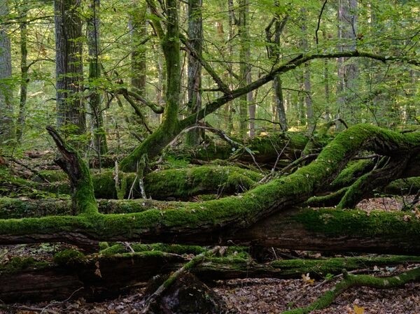 Близко, дешево, красиво