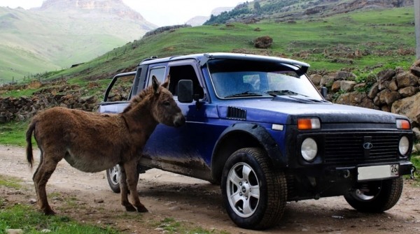 Тюнер показал эксклюзивную Ладу Ниву в стиле американских пикапов