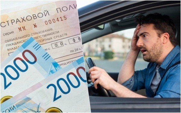 ОСАГО по-белорусски: почему в России полисы в 4-5 раз дороже, чем у соседей ОСАГО по-белорусски: почему в России полисы в 4-5 раз дороже, чем у соседей