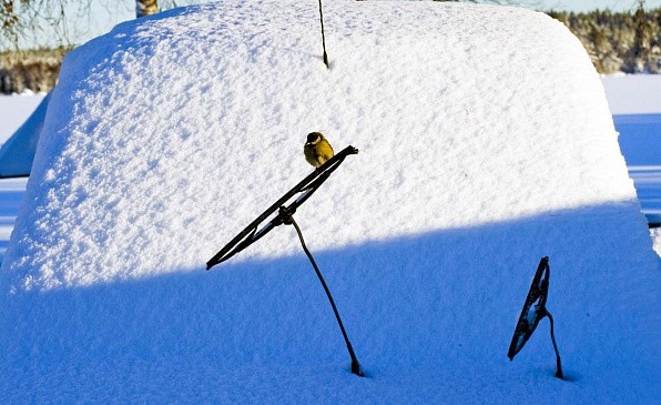 Как защитить кузов авто от дорожных реагентов: 4 способа Как защитить кузов авто от дорожных реагентов: 4 способа