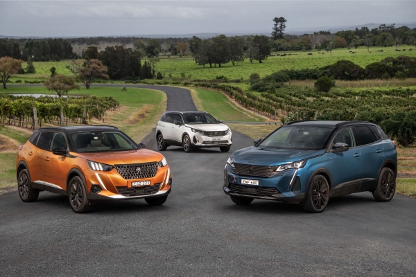 Концерн Stellantis в 2024 году: падение по всем направлениям