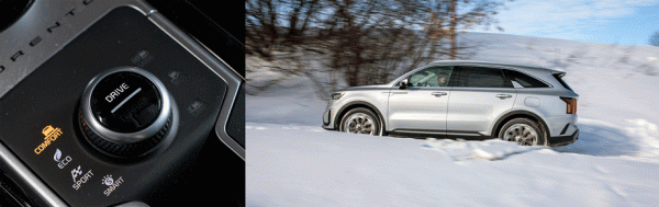 Определяем наименее конфликтный вариант Kia Sorento Определяем наименее конфликтный вариант Kia Sorento