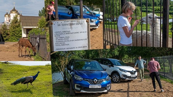 Выставляем старый Renault Kaptur 2.0 против обновлённого 150 TCe