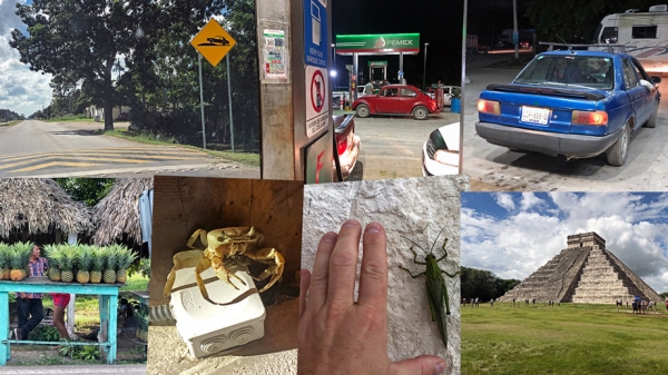 Уличаем седан Volkswagen Jetta в&nbsp;излишней консервативности