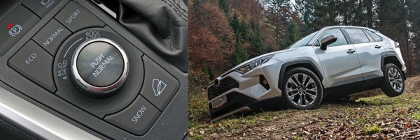 Находим заносчивым кроссовер Toyota RAV4 пятого поколения Находим заносчивым кроссовер Toyota RAV4 пятого поколения