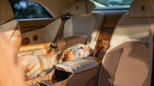 Уникальный Rolls-Royce Spectre Bailey: щенячий восторг Уникальный Rolls-Royce Spectre Bailey: щенячий восторг