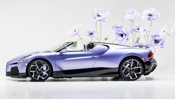 Bugatti W16 Mistral Caroline: цветочное совершенство